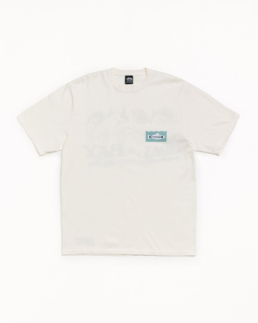 heal the bay 40 t-shirt pigmentfarvet